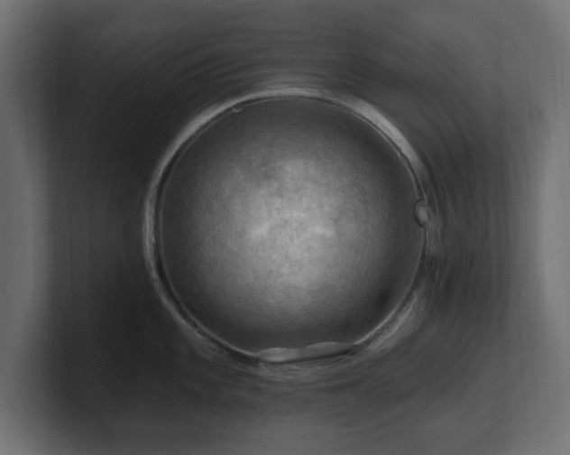 X0000101091101200806261446