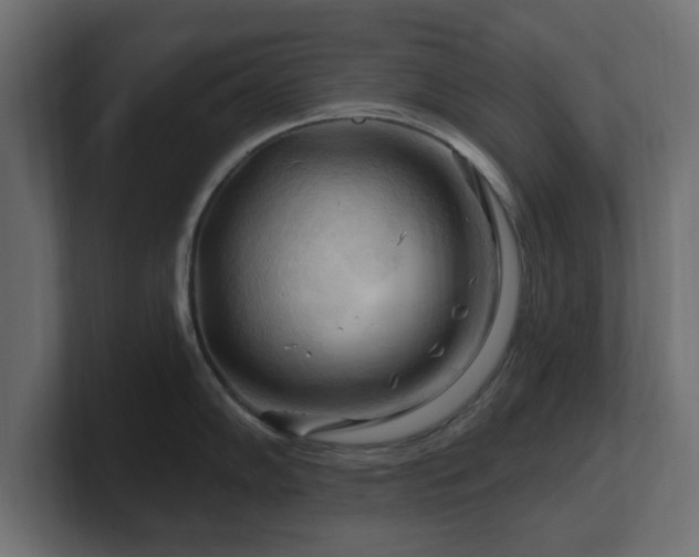 X0000101091102200806261446