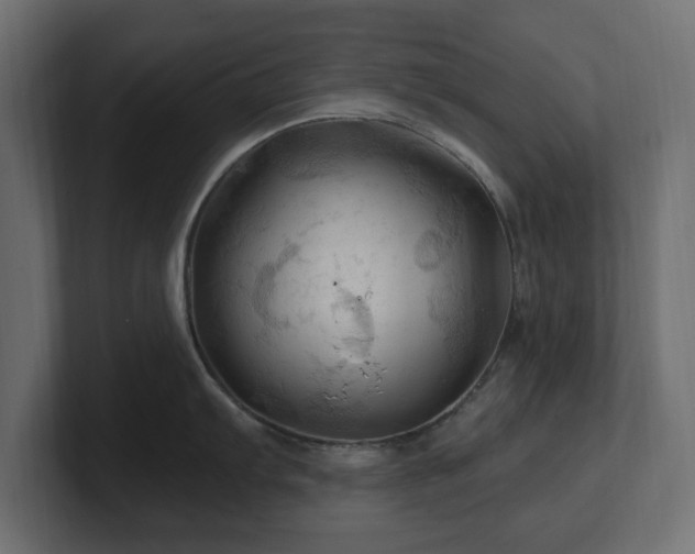 X0000101091103200806261446