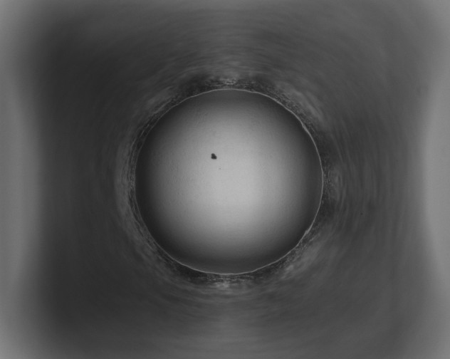 X0000101091105200806261445