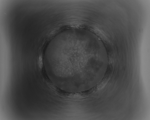 X0000101091106200806261445