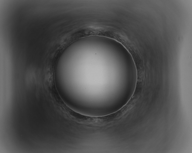 X0000101091109200806261445