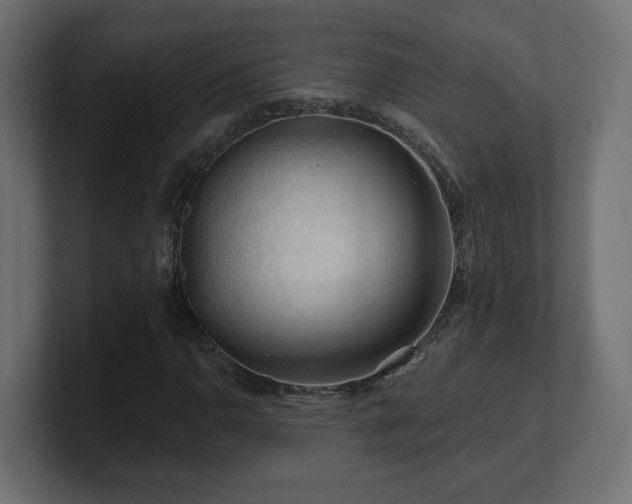 X0000101091110200806261445