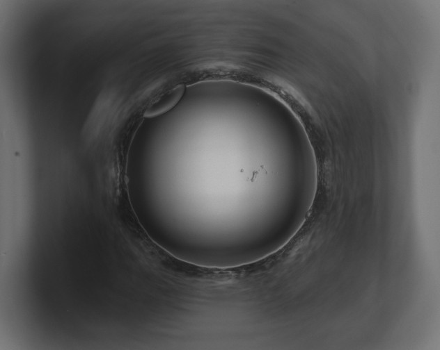 X0000101091111200806261445