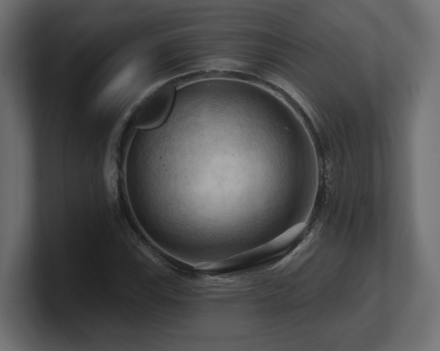 X0000101091115200806261445