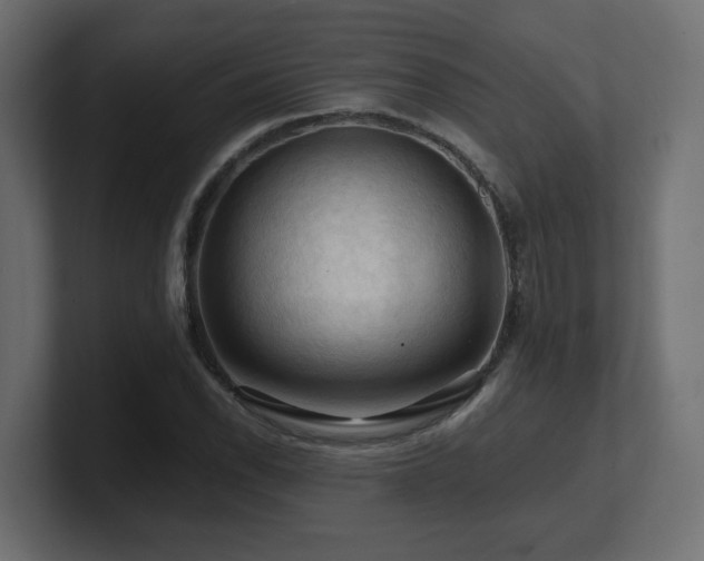 X0000101091118200806261445