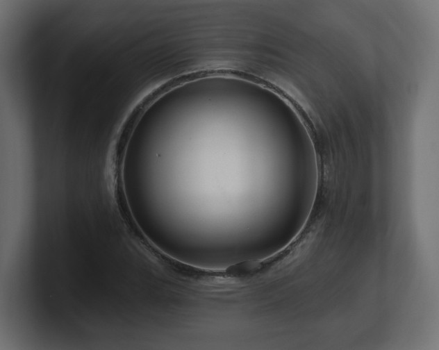 X0000101091119200806261445