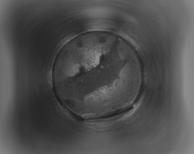 X0000101091121200806261445