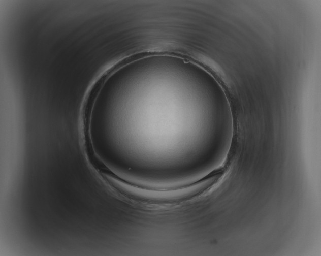 X0000101091122200806261445