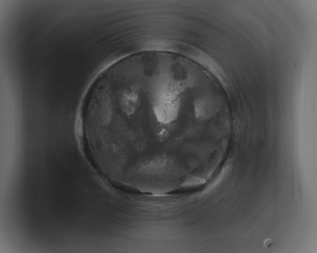 X0000101091125200806261445