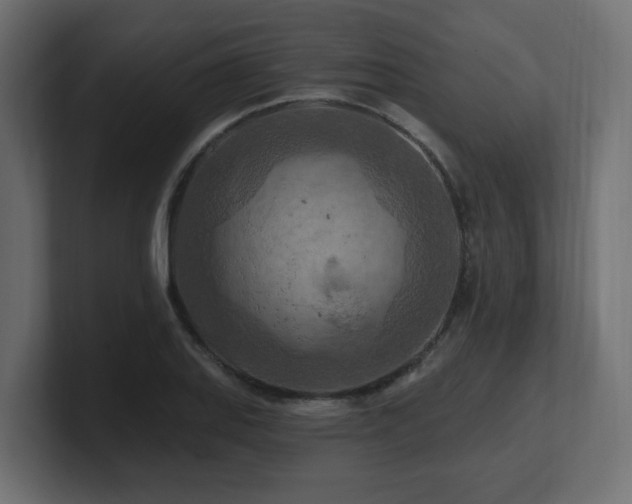 X0000101091127200806261445