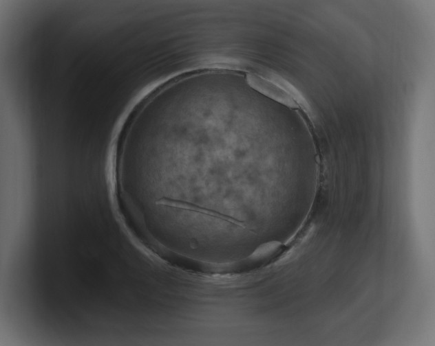 X0000101091128200806261445