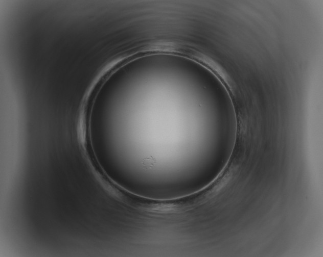 X0000101091131200806261446