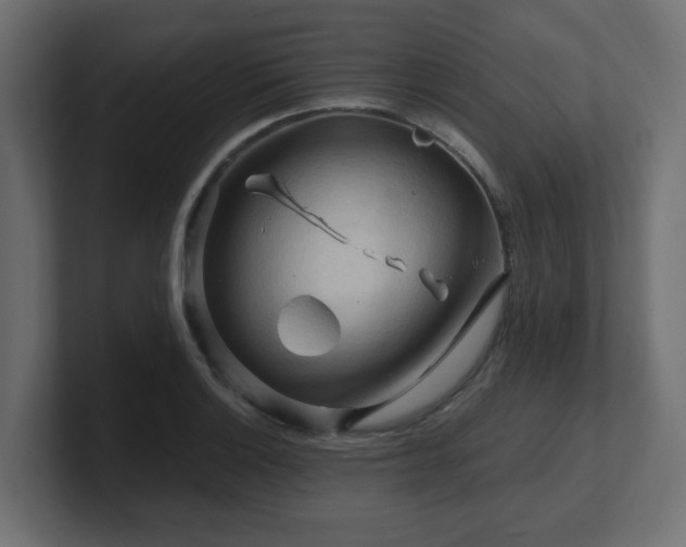 X0000101091132200806261446