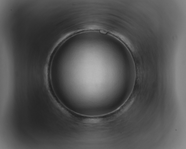 X0000101091134200806261446