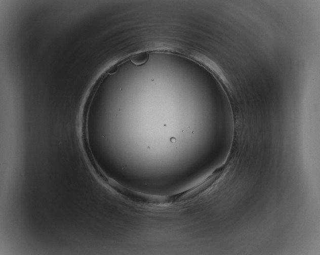 X0000101091135200806261446