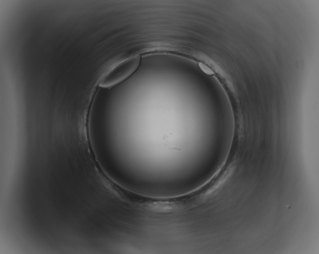 X0000101091137200806261446