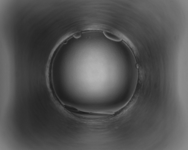 X0000101091138200806261446