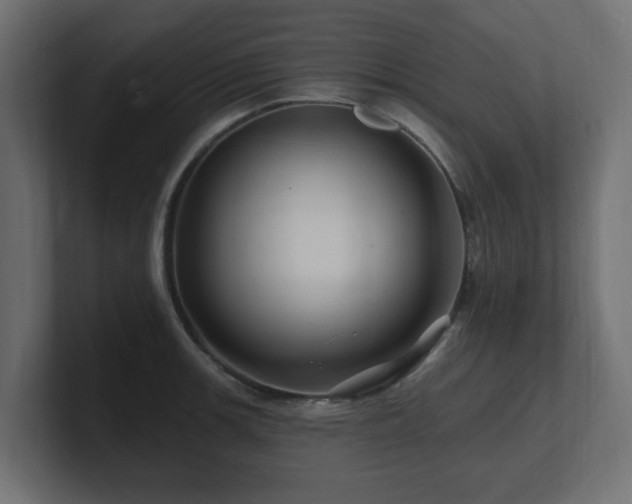 X0000101091139200806261446