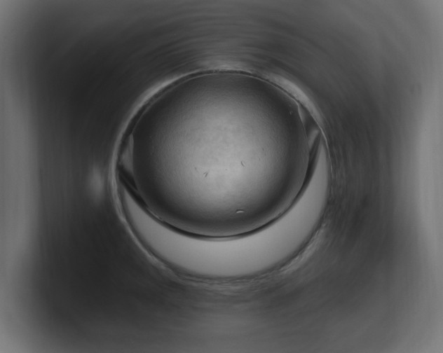 X0000101091141200806261446