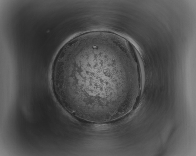 X0000101091142200806261446