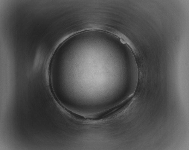 X0000101091143200806261446