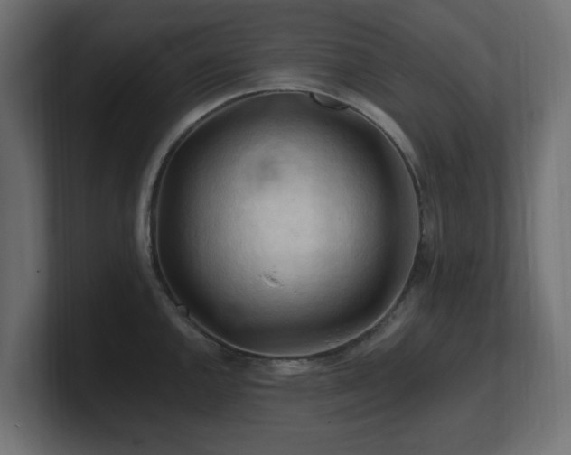 X0000101091144200806261446