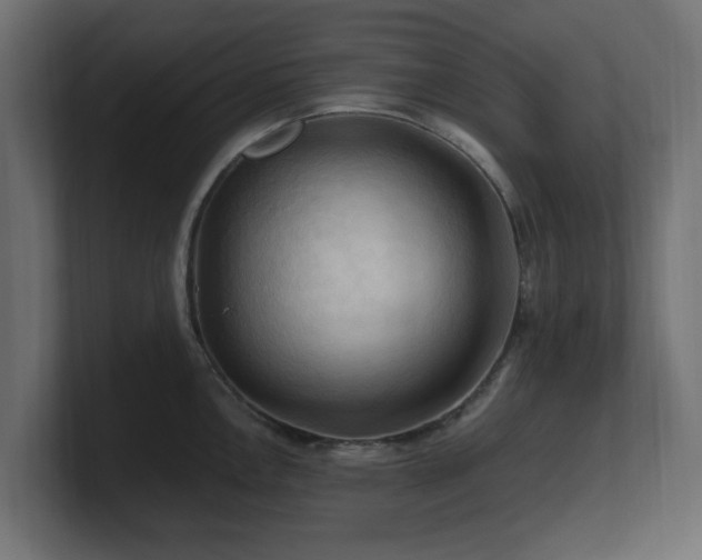 X0000101091146200806261446