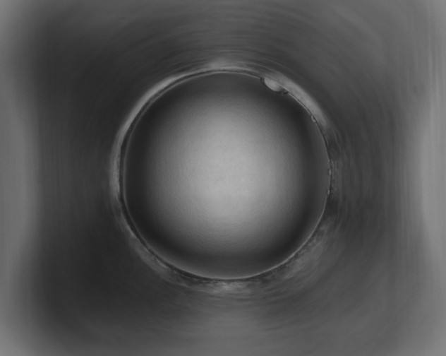 X0000101091148200806261446