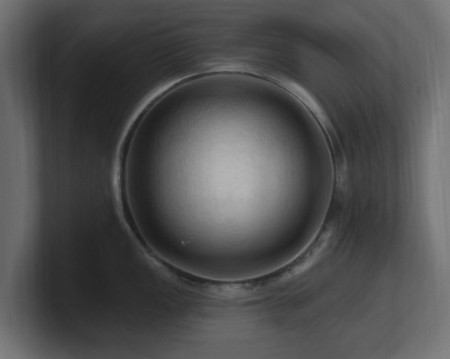 X0000101091149200806261446