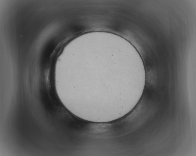 X0000101091150200806261446