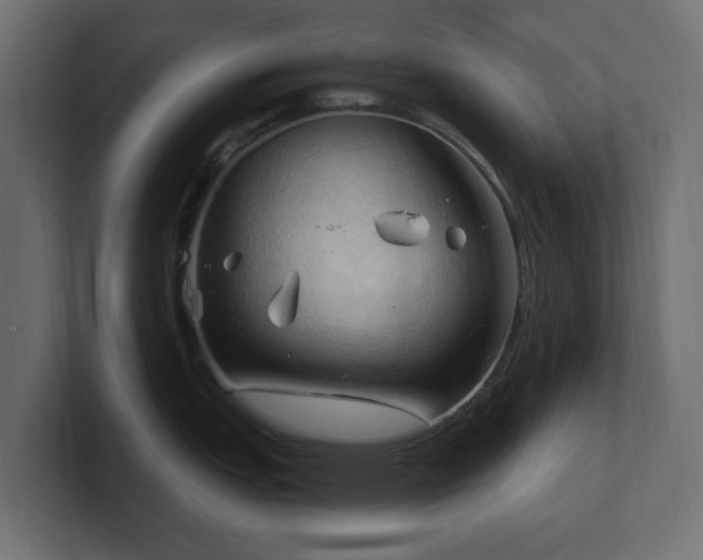 X0000101091151200806261446