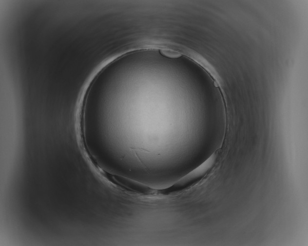 X0000101091152200806261446