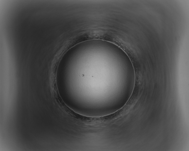 X0000101091153200806261445