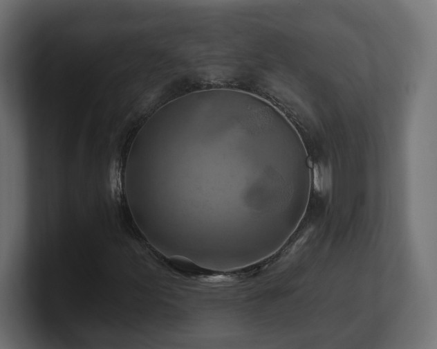 X0000101091155200806261445