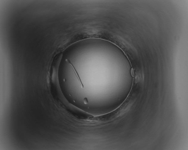 X0000101091156200806261445