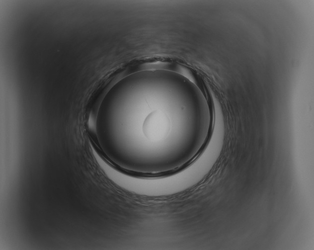 X0000101091157200806261445