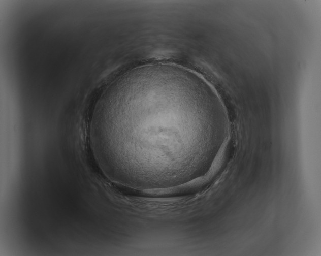 X0000101091158200806261445