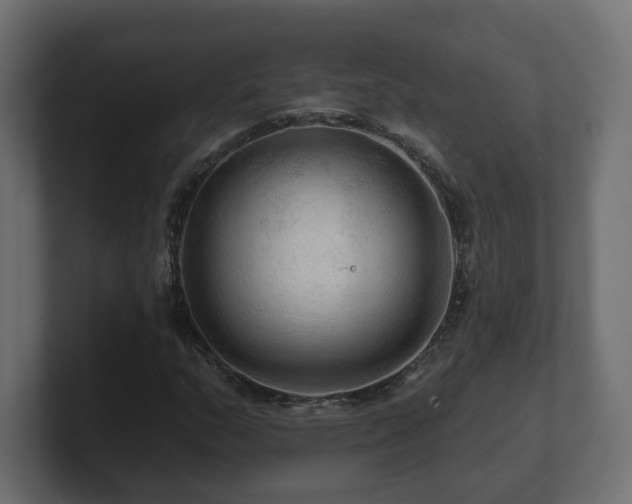 X0000101091159200806261445