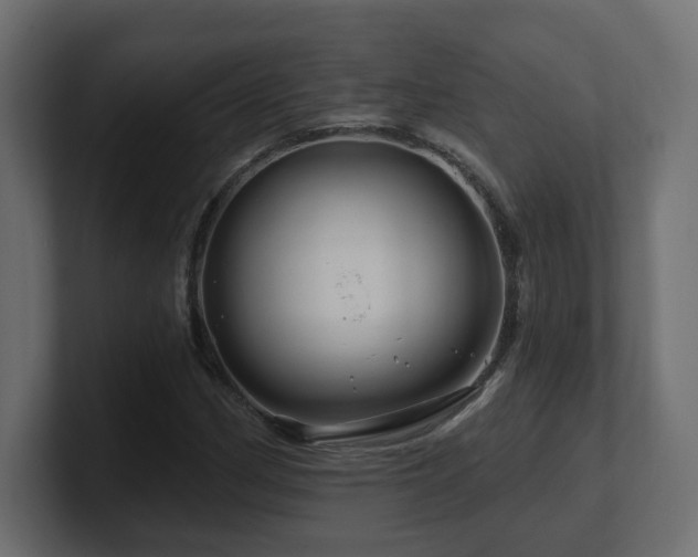 X0000101091162200806261445