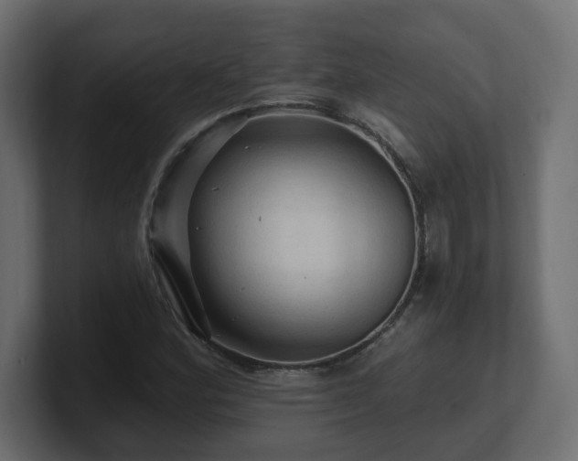 X0000101091164200806261445