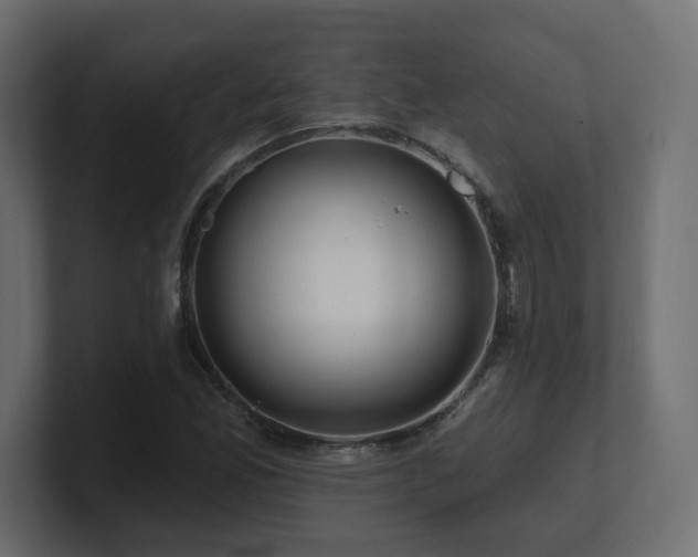 X0000101091165200806261445