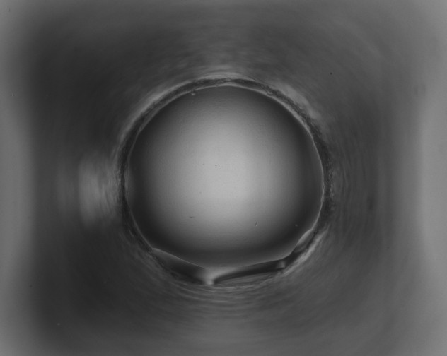 X0000101091167200806261445