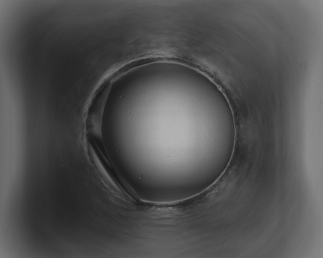 X0000101091168200806261445