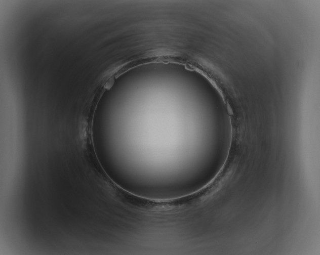 X0000101091169200806261445