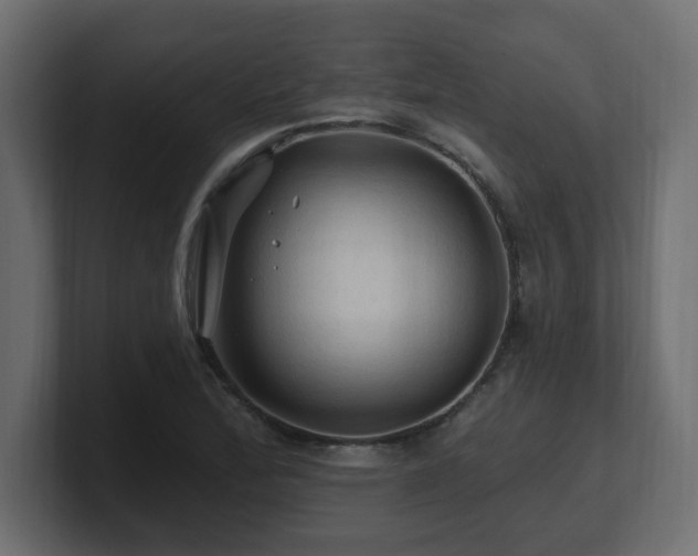 X0000101091172200806261445