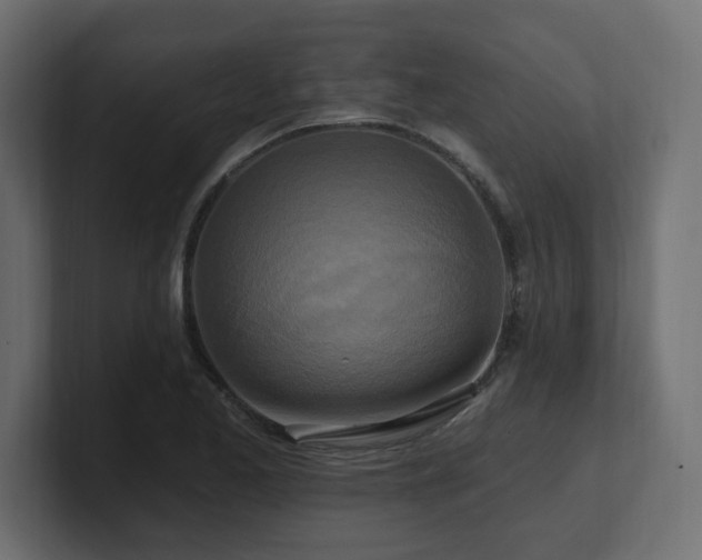 X0000101091173200806261445