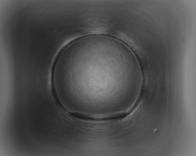 X0000101091174200806261445