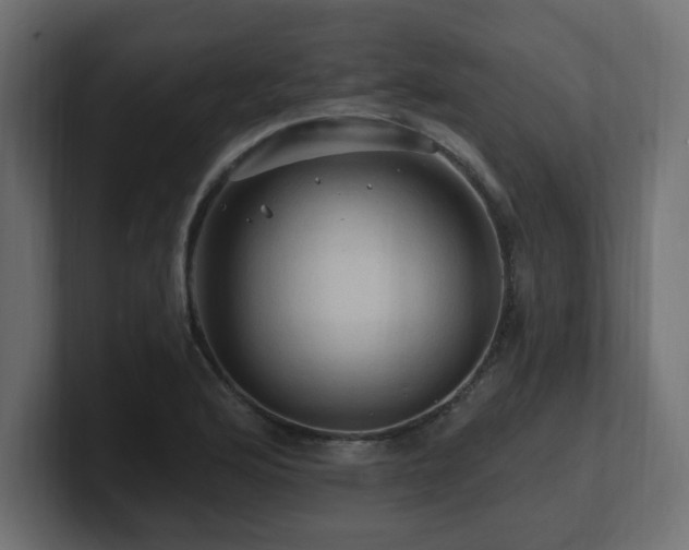 X0000101091176200806261445