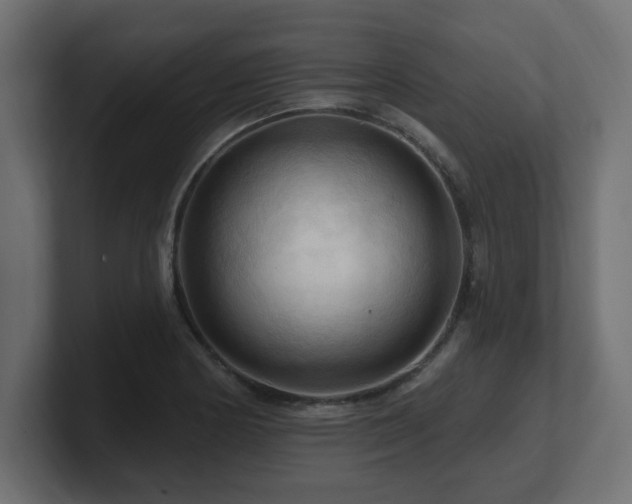 X0000101091178200806261445